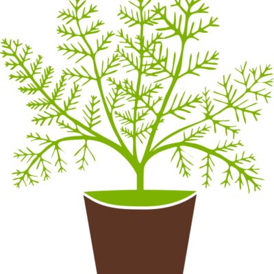Plant Thumbnail